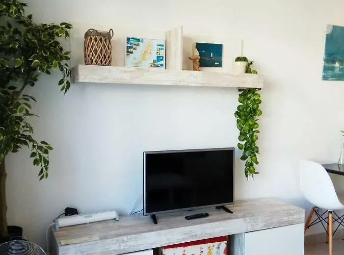 Homely Paradise Amaya 2